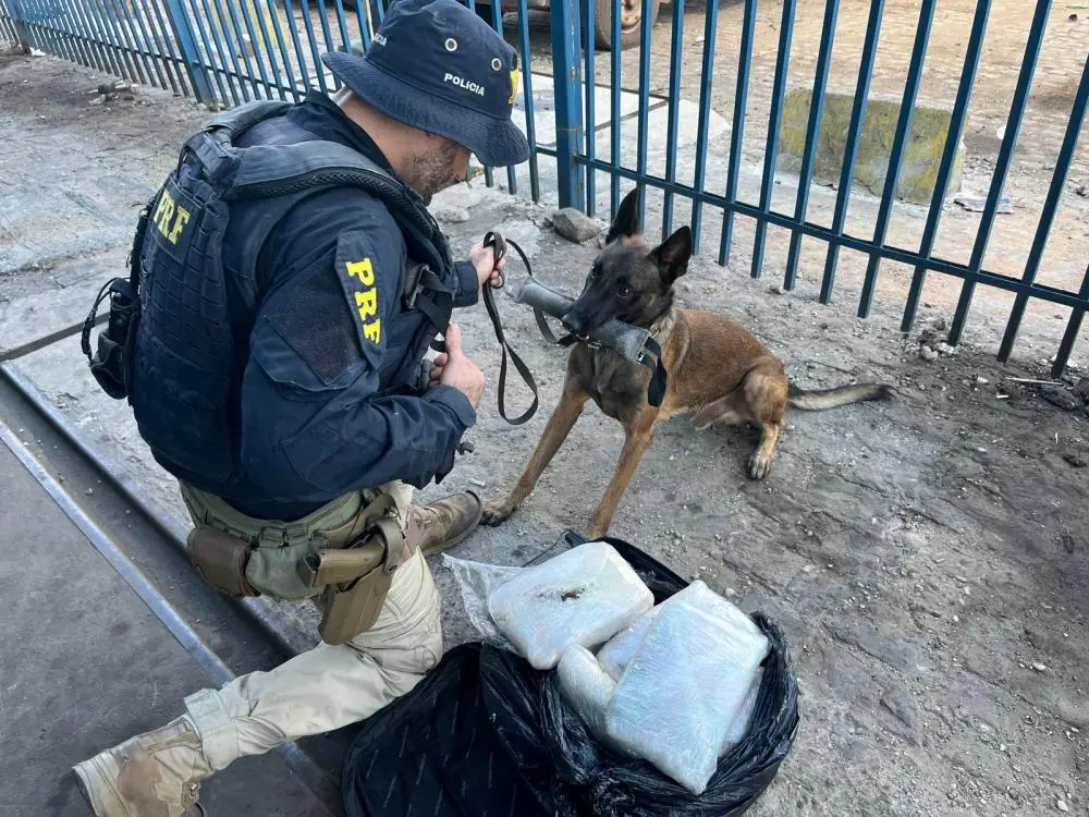 PRF apreende 20 kg de maconha em ônibus na Ponte Nova