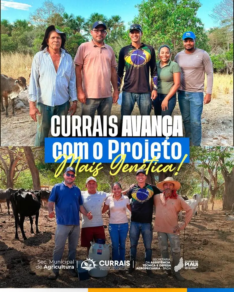 Currais investe na qualidade dos rebanhos com o Projeto Mais Genética