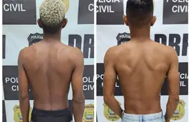 Dupla é presa por suspeita de roubo e furto de veículos no Piauí (Foto: Divulgação)