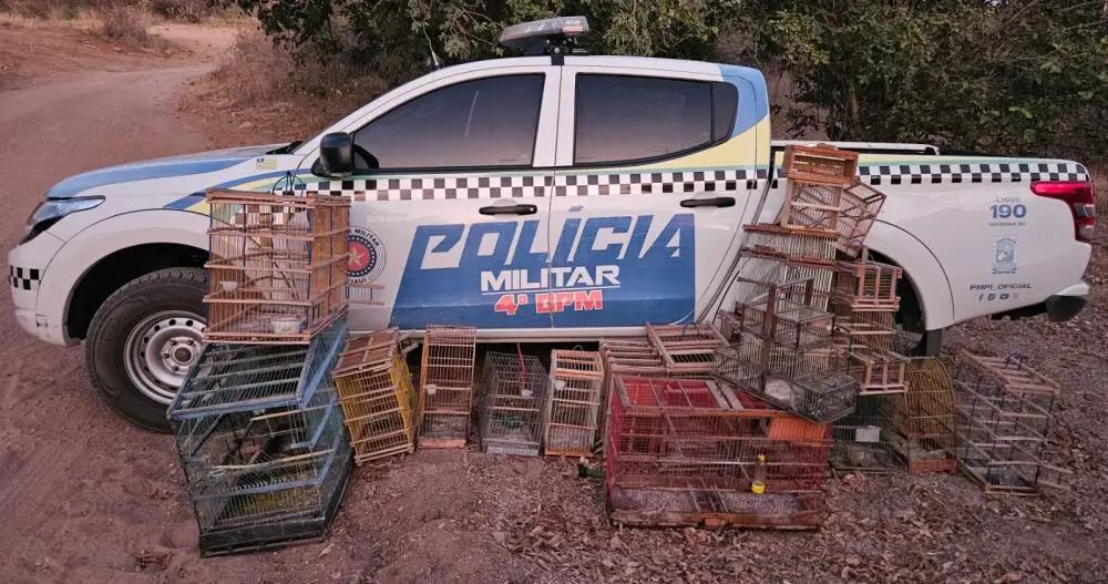 Homem é preso por suspeita de crime ambiental