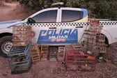 Homem é preso por suspeita de crime ambiental (Foto: Divulgação)