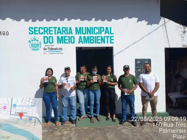 Prefeitura Municipal de Palmeirais