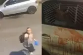 Sargento PMAM atira na ex mulher em plena via pública (Foto: Reprodução)