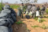  (Foto: ASSESSORIA DA POLÍCIA MILITAR)