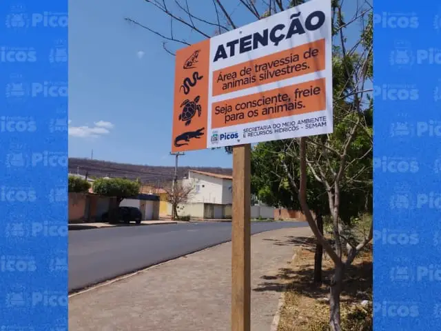 Prefeitura de Picos e SEMAM disponibilizam placas informativas sobre proteção de animais silvestres (Foto: Arquivo Pessoal)
