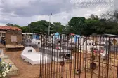 Dia de Finados em DEL (Foto: ASCOM)