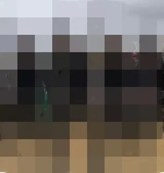 (Foto: Reprodução)