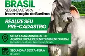  (Foto: ASSESSORIA DE IMPRENSA DA PREFEITURA)