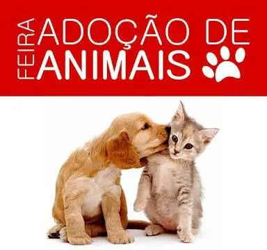 (Foto: Divulgação)