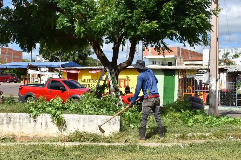 Os trabalhos são de poda, capina, construção e revitalização de meio fio, restauração de bancos e pinturas (Foto: Roberto Oliveira)
