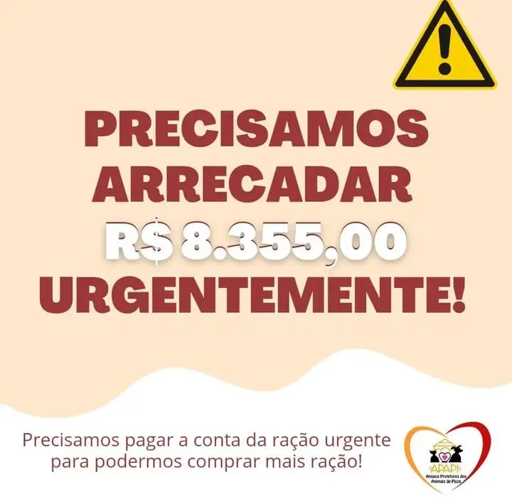(Foto: Divulgação/APAPI)