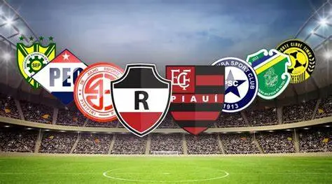 TIMES DO FUTEBOL PIAUIENSE