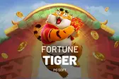Joguinho do Tigre (Foto: )