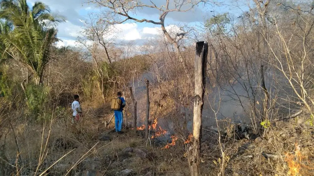 Queimadas afetaram as comunidades de Baixão dos Ribeiros, Balanço, Sítio do Cocal e Cocal