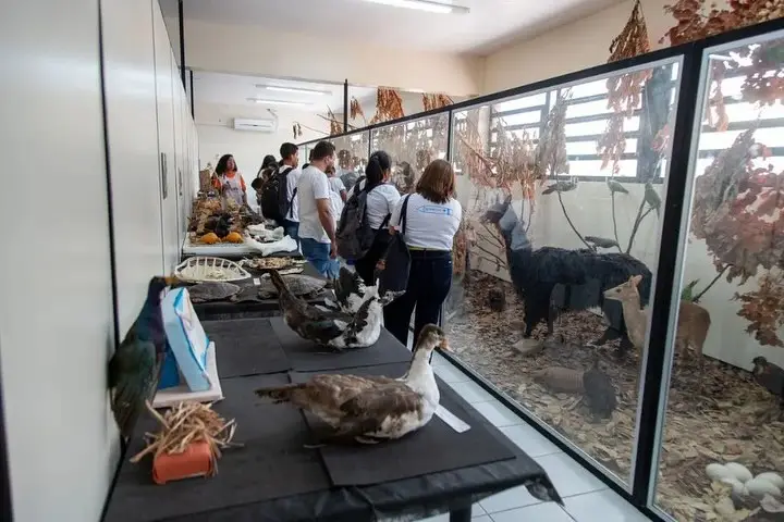 Foto: Prefeitura de Oeiras