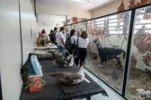 Foto: Prefeitura de Oeiras (Foto: Prefeitura de Oeiras)