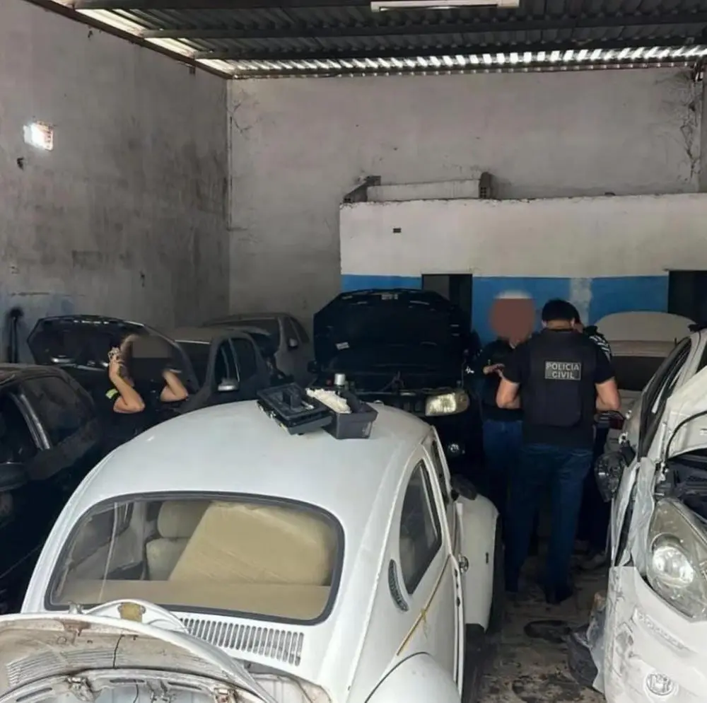 Foto: Reprodução/PC-PI