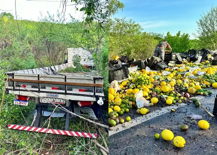 Foto: Reprodução/Cidades na Net