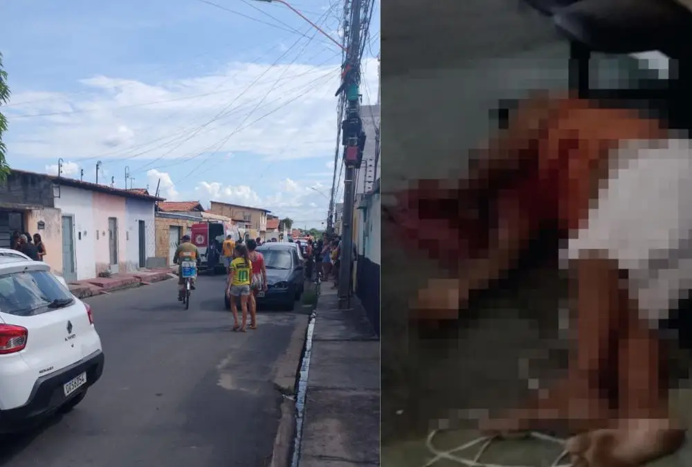 Reprodução