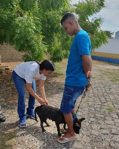 Foto: FMS/Divulgação