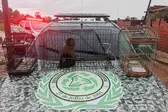 Foto: Israel Rodrigues (Foto: Com infomações de Cidade Verde)