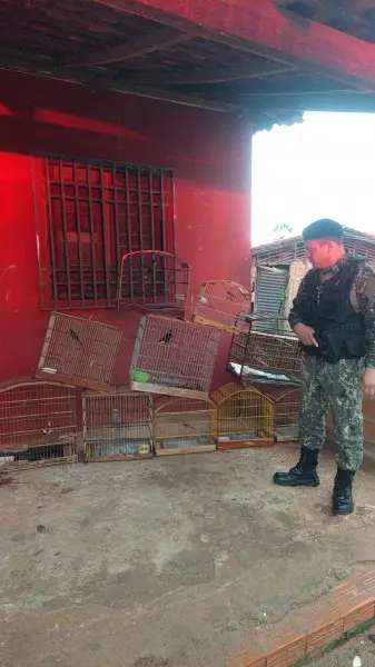 Foto: Ascom/Polícia Militar do Piauí