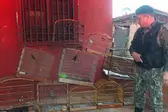 Foto: Ascom/Polícia Militar do Piauí (Foto: )