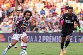 Foto: Agência Brasil/Marcelo Gonçalves/Fluminense (Foto: Agência Brasil)