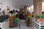 Foto: Ascom/Prefeitura de Esperantina (Foto: Prefeitura de Esperantina)