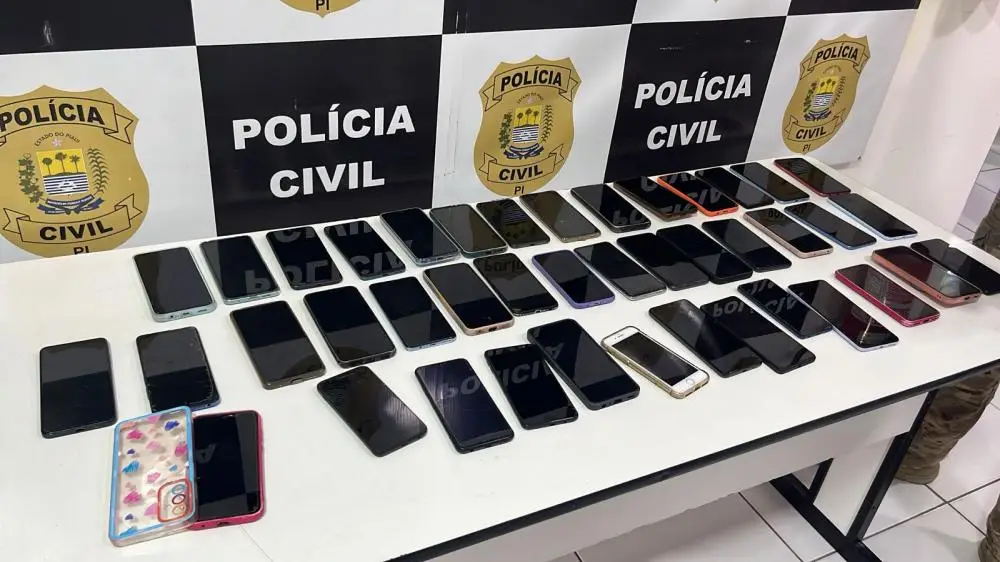 Foto: Divulgação/ PC-PI