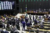 Foto: Reprodução/Câmara do Deputados (Foto: Camara dos Deputados )