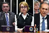 Foto: Reprodução/Senado (Foto: )