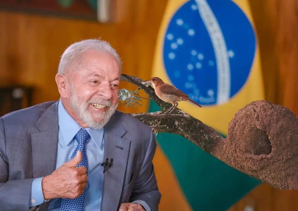 Foto: Reprodução