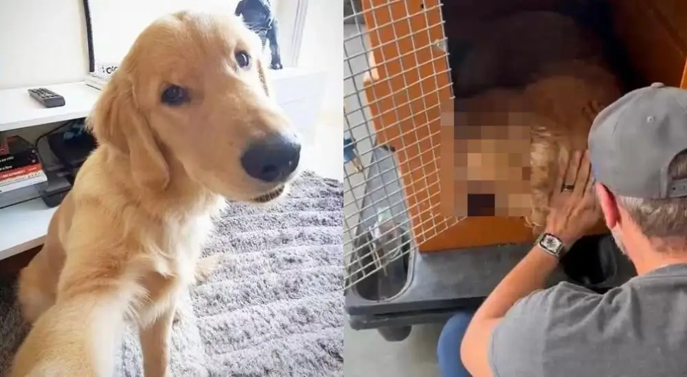 Foto: Reprodução/Redes Sociais