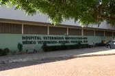Foto: Divulgação (Foto: Ascom HVU-UFPI )