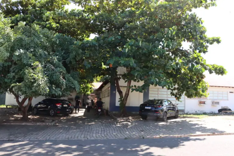 Foto: Divulgação/MPPI