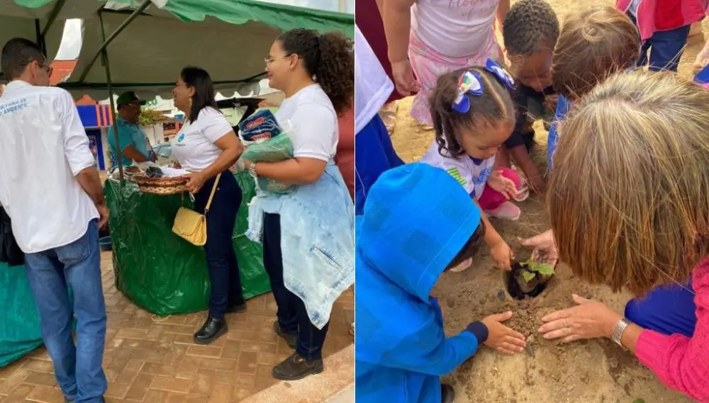 Foto: Reprodução/Cidades na net