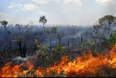 (Foto: Divulgação)