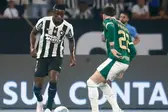 Foto: Vitor Silva/Botafogo/Direitos Reservados (Foto: )