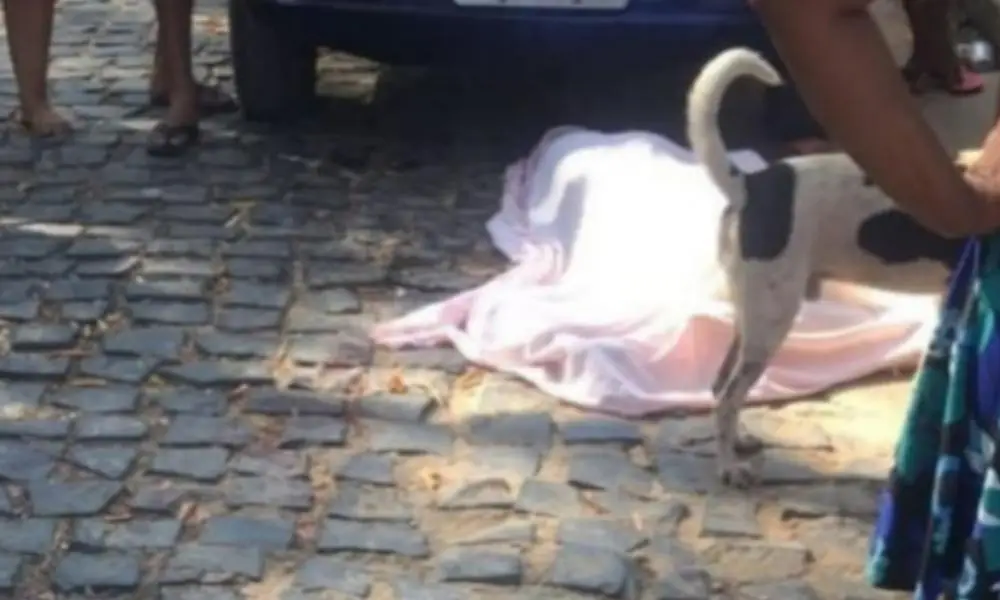 Foto: Reprodução 