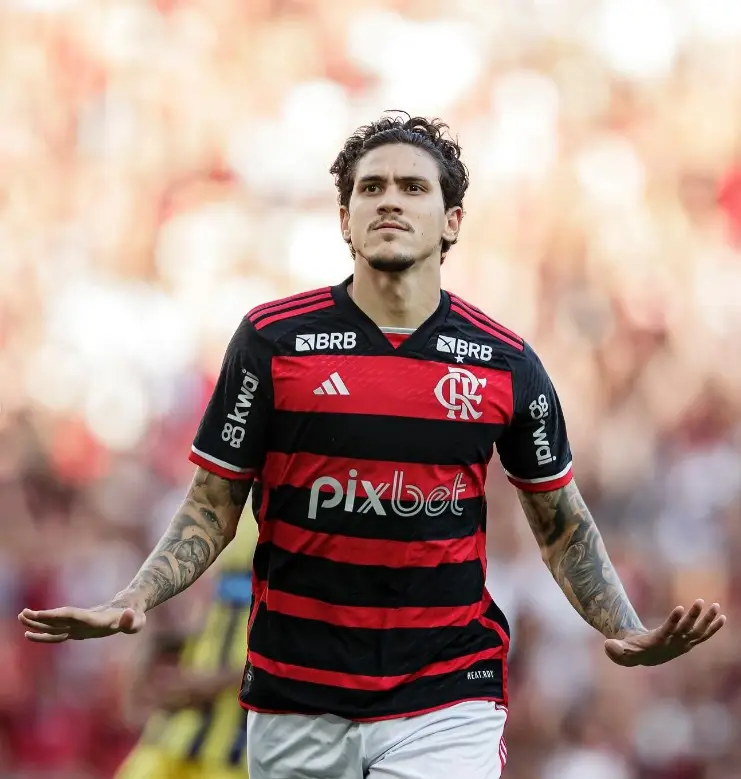 Foto: Reprodução/Instagram/@pedroguilherme
