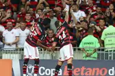Foto: Gilvan de Souza / CRF (Foto: )