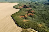 Foto: Adriano Gambarini/WWF Brasil (Foto: )