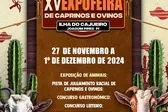 XV EXPOFEIRA DE CAPRINOS E OVINOS DE JOAQUIM PIRES-PI (Foto: ascom)