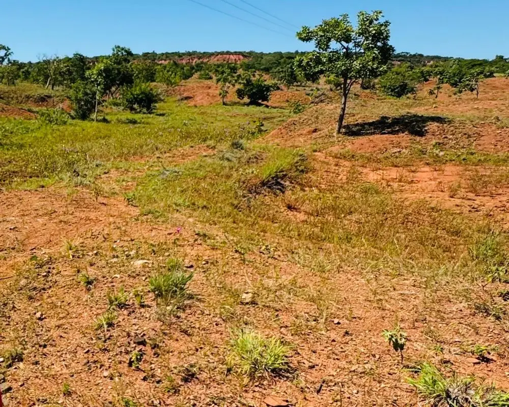 Foto: Divulgação/Gov-PI
