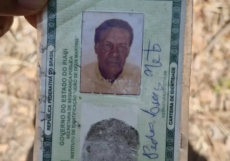 Divulgação