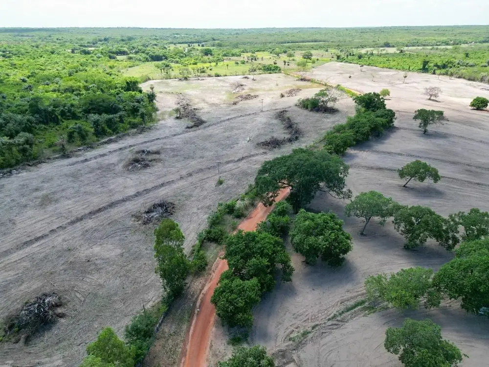 Foto: Divulgação/Governo do Piauí