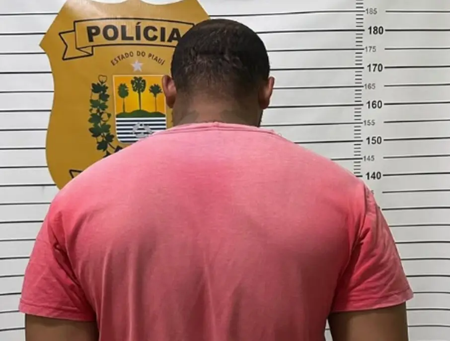 Foto: Divulgação/PC-PI