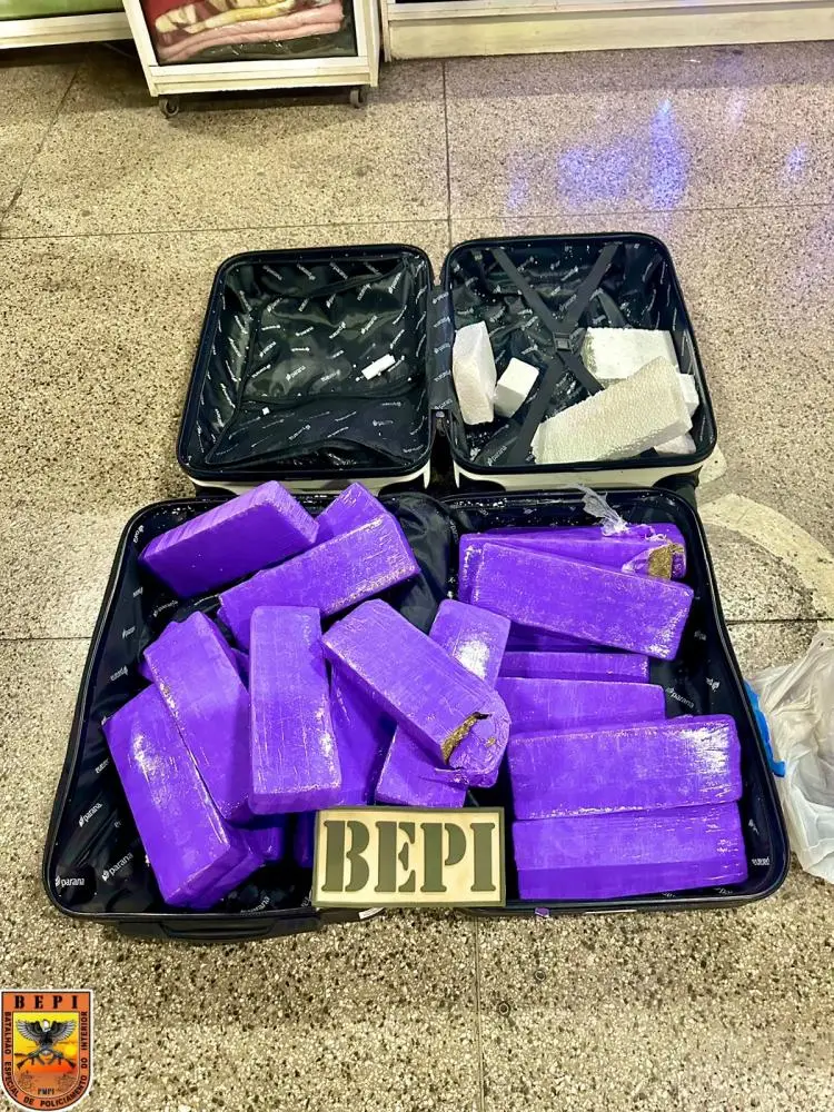 Foto: Divulgação/SSPPI
