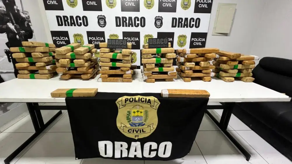 Foto: Divulgação/SSPPI